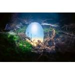 DIMEX ART Флизелинов фототапет леговище на дракон, яйца 375 x 250 см