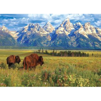 Image 1 of EUROGRAPHICS - Puzzle Grand Teton National Park - 1 000 piese