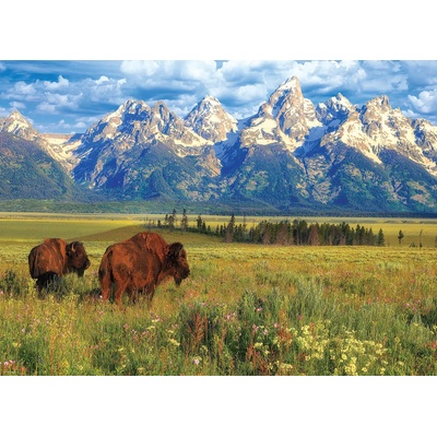 EUROGRAPHICS - Puzzle Grand Teton National Park - 1 000 piese