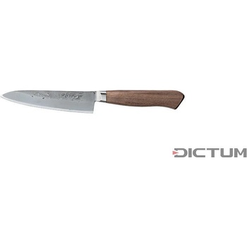 Dictum Japonský nůž Arata Hocho Gyuto Fish and Meat Knife 120 mm