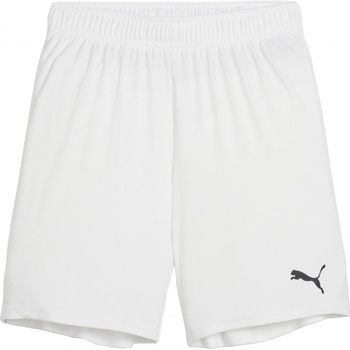 Puma Teamgoal shorts jr 705753 04