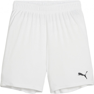 Puma Teamgoal shorts jr 705753 04