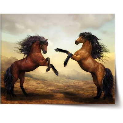 Sablio Plakát Vzpínající se koně - 120x80 cm Varianta: Sablio Plakát Vzpínající se koně - 120x80 cm