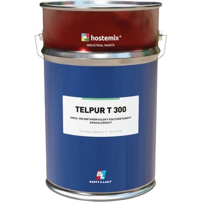 Telpur T300 mat 5 kg zeminová hnedá matná