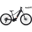 CTM RUBY GX 2026