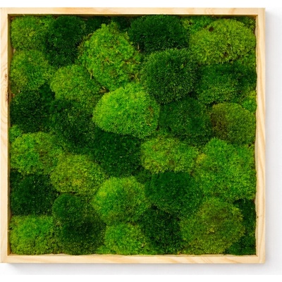 Machový obraz štvorec- kopčeky Veľkosť rámu: 40x40cm