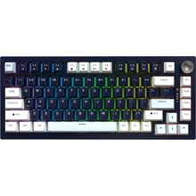 JEDEL KL81 WB