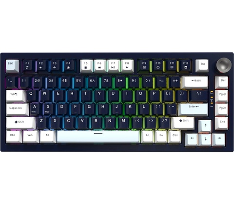 JEDEL KL81 WB