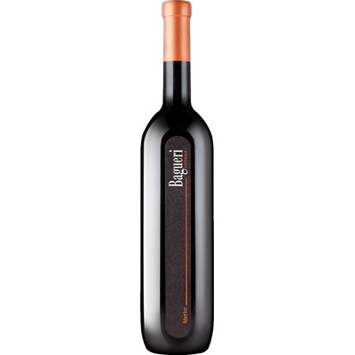 Klet Brda Bagueri Merlot červené 2019 13,5% 0,75 l (holá láhev)