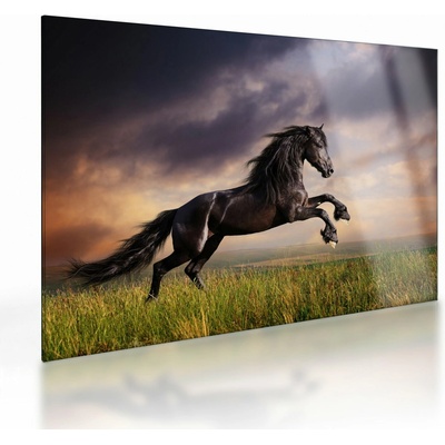 Sklenený obraz - Kone, jednodielne 70x50 cm na skle
