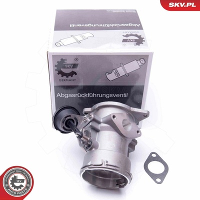 AGR-Ventil ESEN SKV 14SKV093
