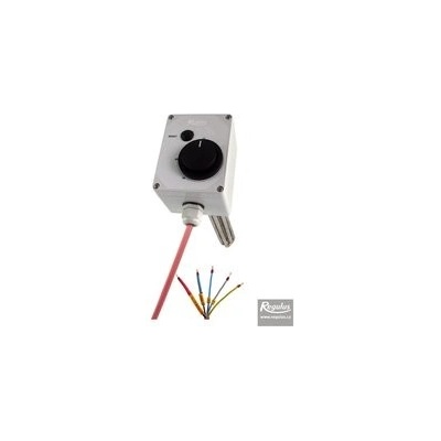 Regulus ETT-U 6 kW 20219