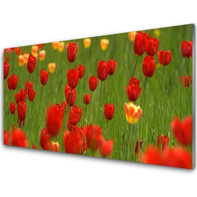 Obraz na skle Tulipány Rostlina 100x50 cm