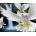 Norimpex - Puzzle Diamant painting: White doves 30x40cm - 1 - 39 piese