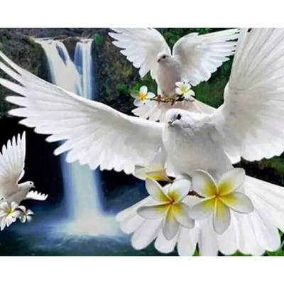 Norimpex - Puzzle Diamant painting: White doves 30x40cm - 1 - 39 piese