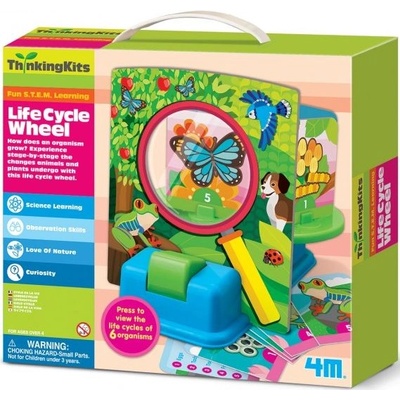 4M Образователен комплект 4M - Жизненият цикъл (4m-04693)