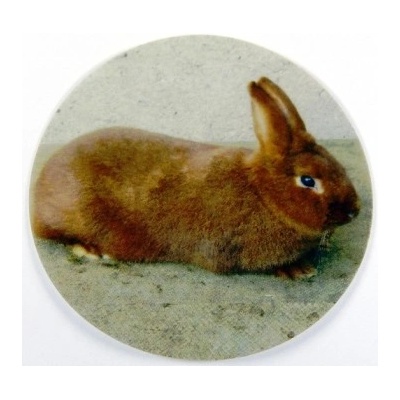 VIZINGR Novozelandský červený MAXI logo L2č.61