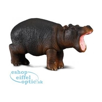 Collecta Hroch mládě