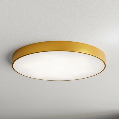 Temar CLEO 800 GOLD