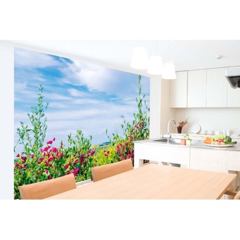 DIMEX ART s. r. o Самозалепваща се флизелинова фототапета билка с небе 375 x 250 см