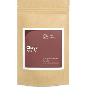 Terra Elements Био чага на прах - 100 г