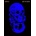 Skulls: Art In Bone