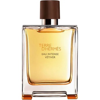 Hermès Terre D'Hermes Eau Intense Vetiver EDP 100 ml