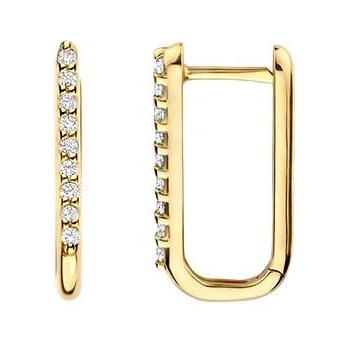 Blush Златни дамски обеци Blush 7381YZI (7381YZI)