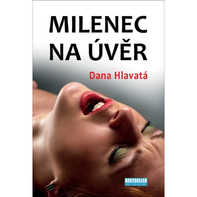 Milenec na úvěr - Hlavatá Dana