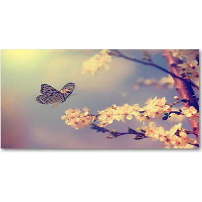 Foto-obraz fotografie na skle Kvet Visty a motýľ 100x50 cm