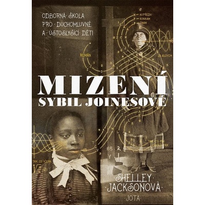 Mizení Sybil Joinesové - Jacksonová Shelley