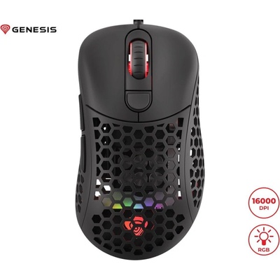 Genesis XENON 800 NMG-1629