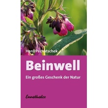 Beinwell Pechatschek Hans Paperback