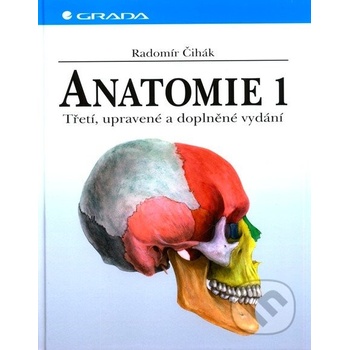 Anatomie 1.