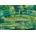 Bluebird Puzzle - Puzzle Claude Monet - The Water-Lily Pond, 1899 - 1 000 piese