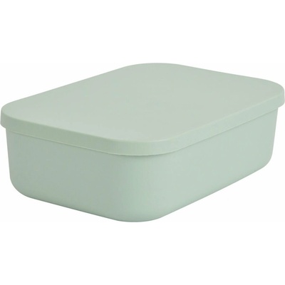 Homéa plastový úložný box s vekom 24 x 18 x 8 cm svetlozelený