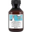 Davines Naturaltech Well Being Shampoo 100 ml