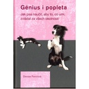 Génius i popleta
