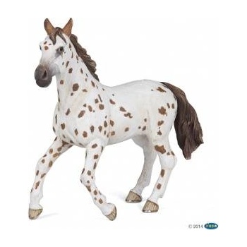Russell Athletic Appaloosa mare