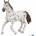 Russell Athletic Appaloosa mare