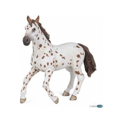 Russell Athletic Appaloosa mare