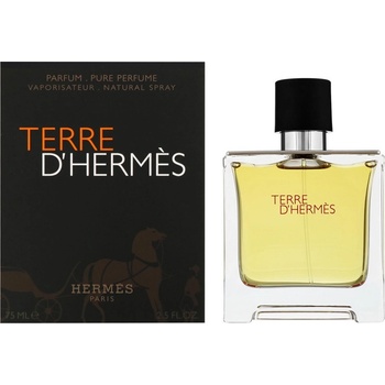 Hermès Terre D'Hermès toaletní voda pánská 100 ml