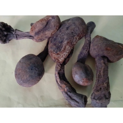 Solia Huanarpo Macho afrodiziakum mleté 100 g