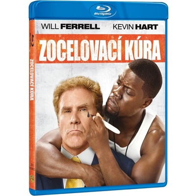 Zocelovací kúra BRD