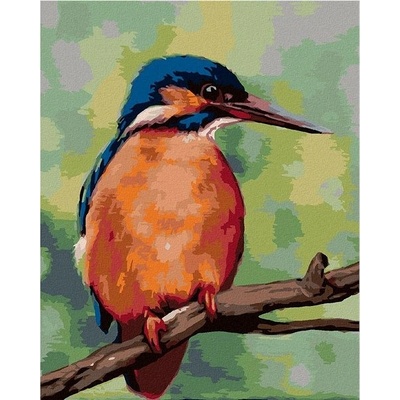 zuty Malování Podle Čísel Ledňáček Myroslava Voloschuk 80 x 100 Cm Plátno