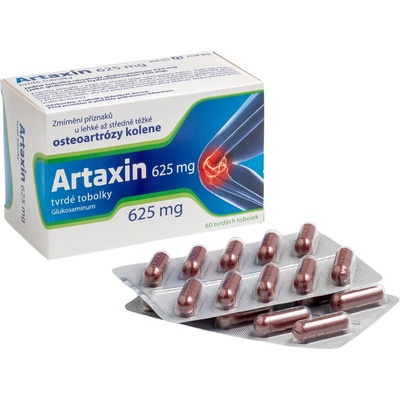 ARTAXIN POR 625MG CPS DUR 60 – Hledejceny.cz