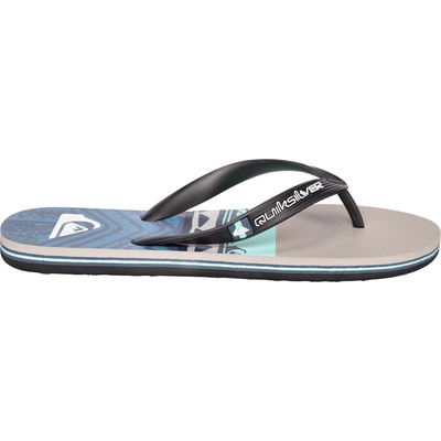 Quiksilver Molokai panel 40