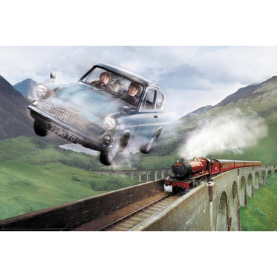 Plagát, Obraz - Harry Potter - Ford, 91.5 × 61 cm