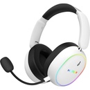 Hator Phoenix 2