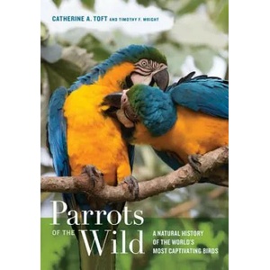 Parrots of the Wild (2015)
